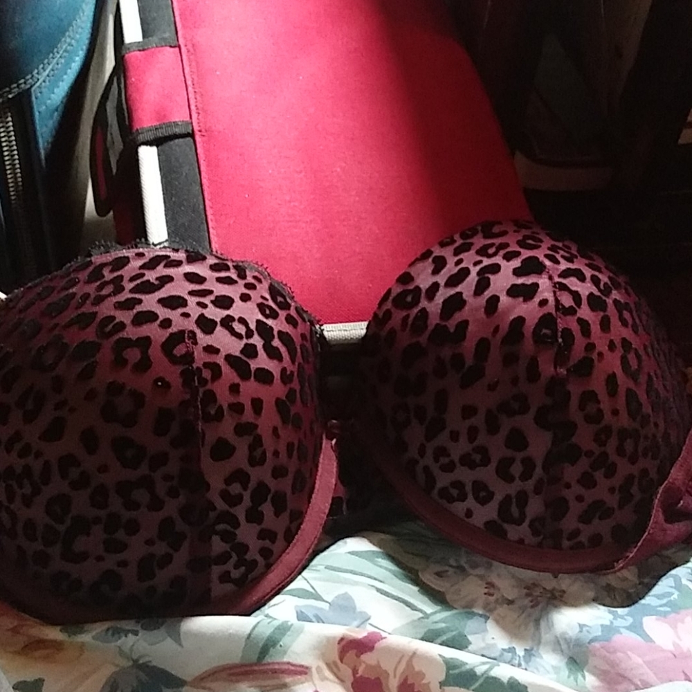 Curve Muse Push-Up Bra 38 D